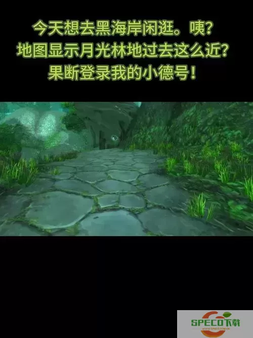 魔兽世界怀旧版：如何前往与离开月光林地的详细攻略图2