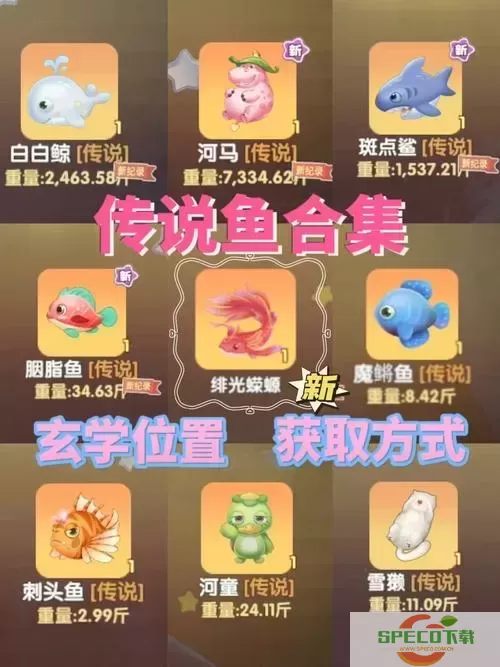 摩尔庄园白天晴天钓鱼攻略：可以钓到哪些鱼 species 介绍图2