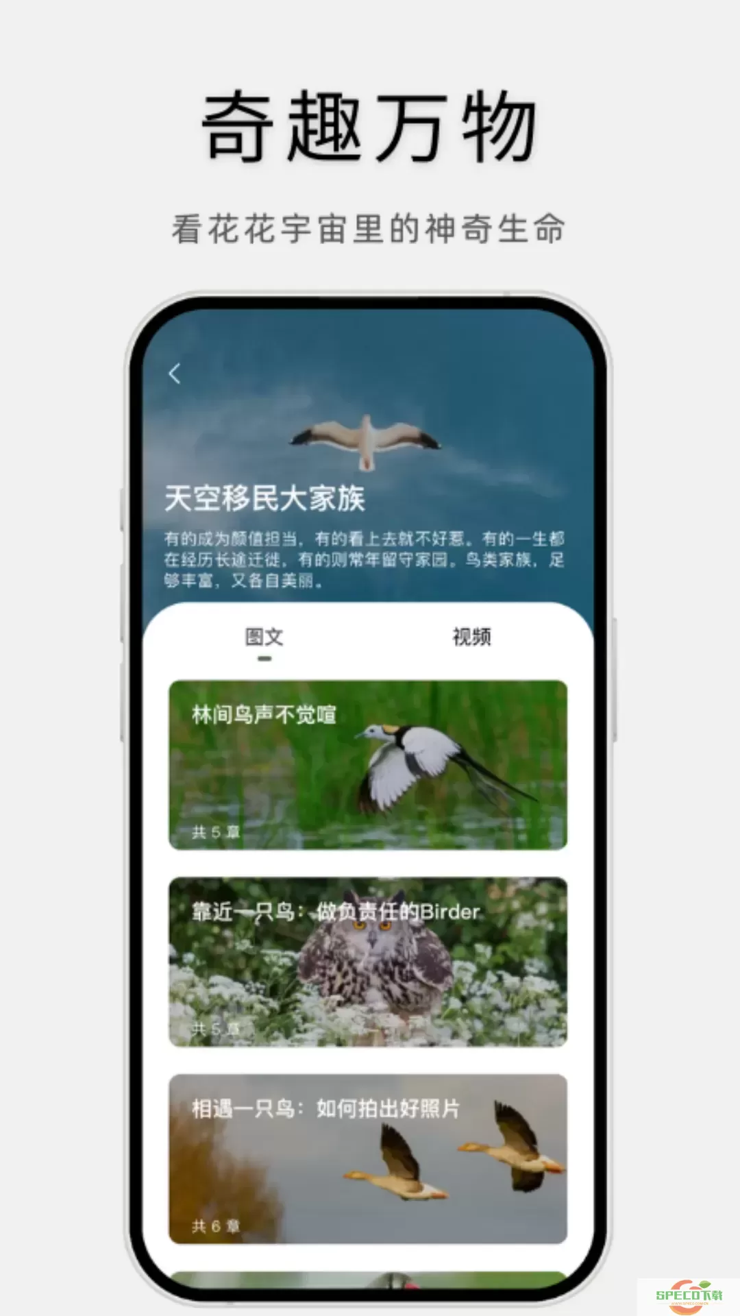 熊猫客官网版app