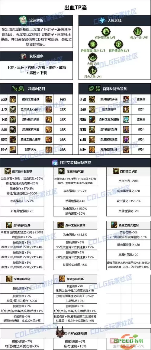 dnf100版本帕拉丁加点图2