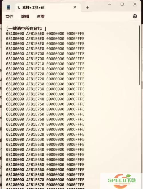 重装机兵3 NDS金手指代码大全及使用方法指南图2